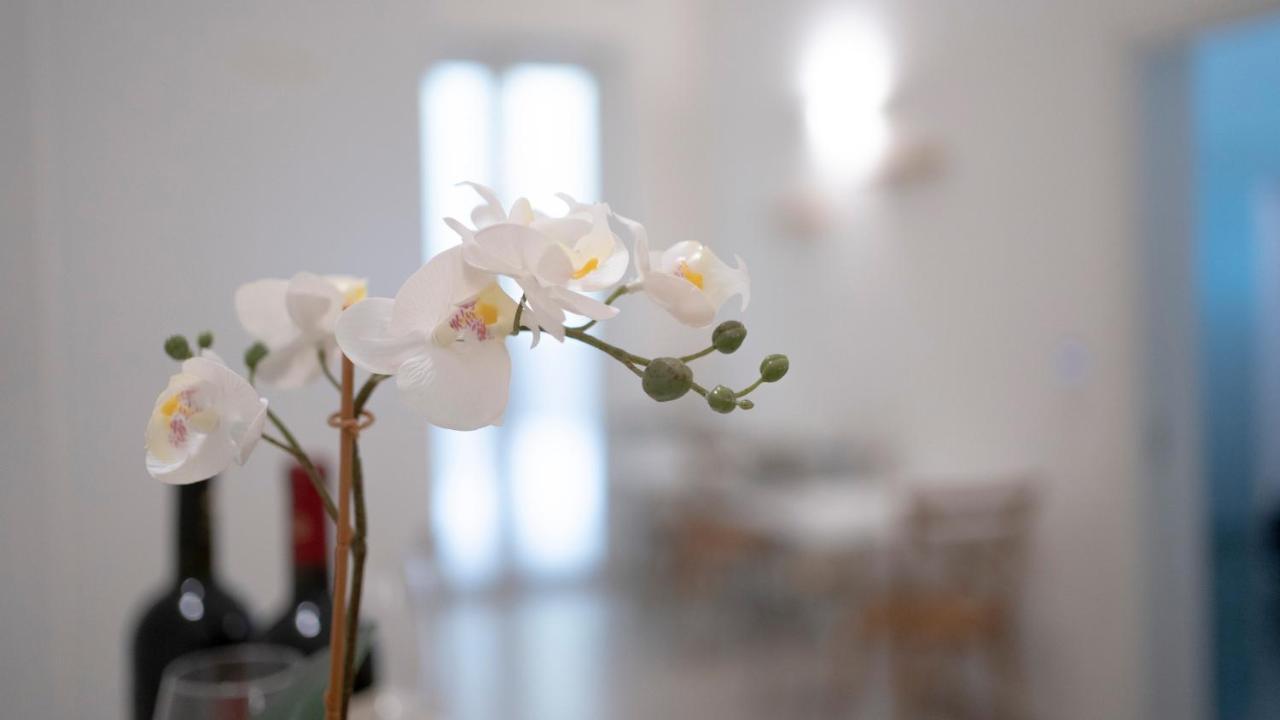 Dimora Fantasia Charme B&B บารี ภายนอก รูปภาพ